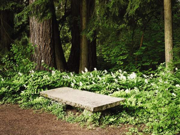 Thrill of the Chases: Photo Gallery
Chase Garden
Orting, WA