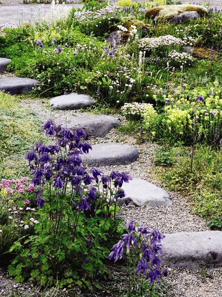 Thrill of the Chases: Photo Gallery
Garden Design
Calimesa, CA
