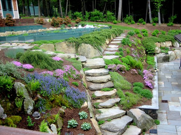 Tiers of Vegetables in New York
Garden Design
Calimesa, CA