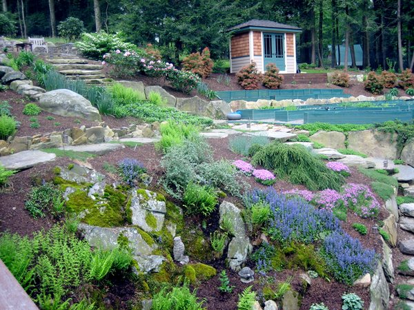 Tiers of Vegetables in New York
Garden Design
Calimesa, CA