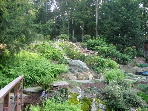 Tiers of Vegetables in New York
Garden Design
Calimesa, CA