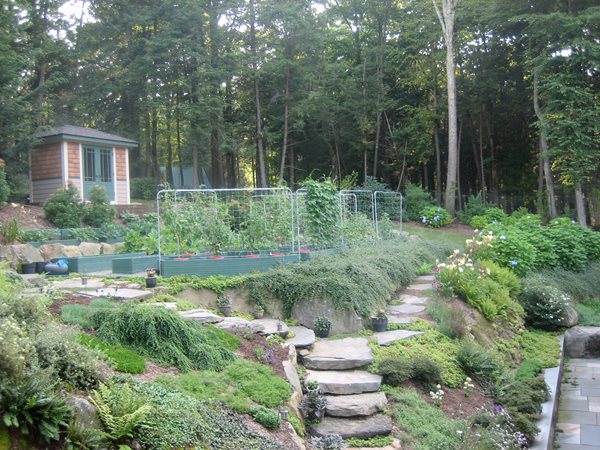 Tiers of Vegetables in New York
Garden Design
Calimesa, CA