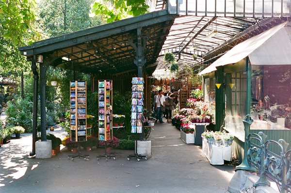 Travel Snapshots: Paris
Garden Design
Calimesa, CA