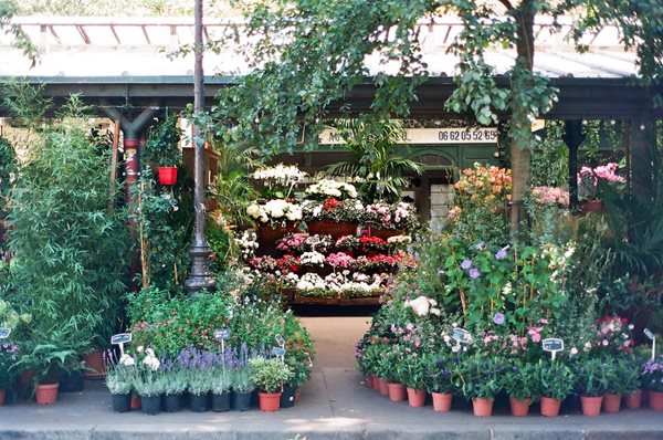 Travel Snapshots: Paris
Garden Design
Calimesa, CA