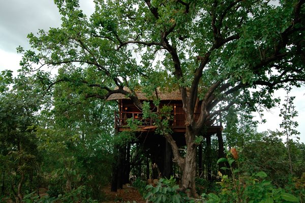 Tree House Hotels
Garden Design
Calimesa, CA