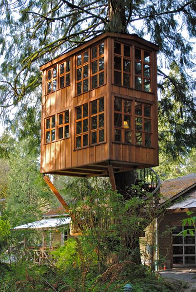 Tree House Hotels
Garden Design
Calimesa, CA