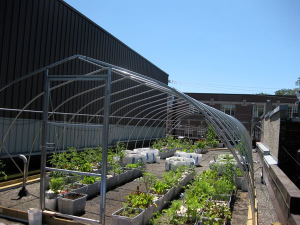 Vegetable Roof Garden
Garden Design
Calimesa, CA