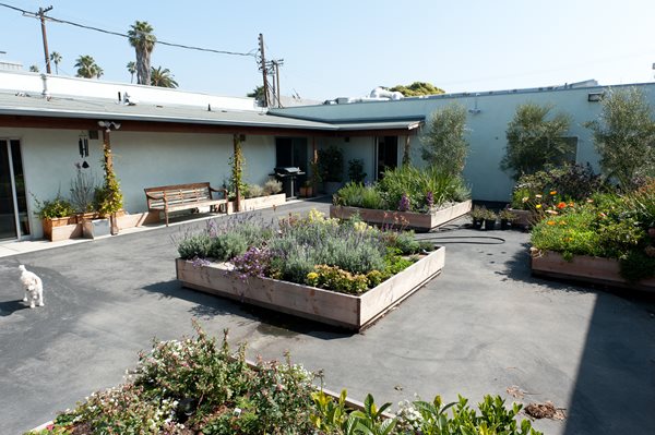 Venice Garden & Home Tour 2011
Garden Design
Calimesa, CA