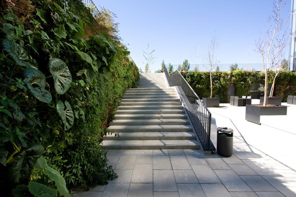 Vertical Gardens: Slide Show
Garden Design
Calimesa, CA
