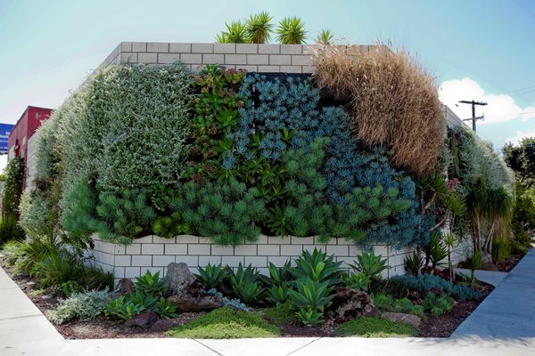 Vertical Gardens: Slide Show
Garden Design
Calimesa, CA