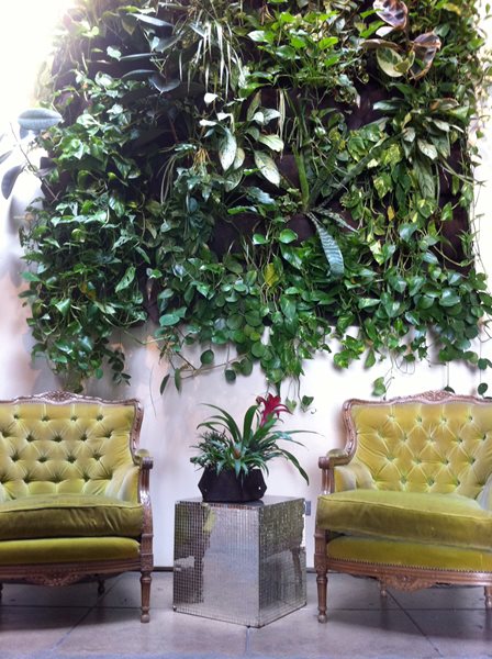 Vertical Gardens: Slide Show
Garden Design
Calimesa, CA
