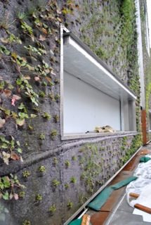 Vertical Gardens: Slide Show
Garden Design
Calimesa, CA