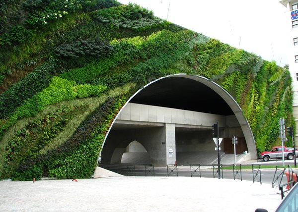 Vertical Gardens: Slide Show
Garden Design
Calimesa, CA