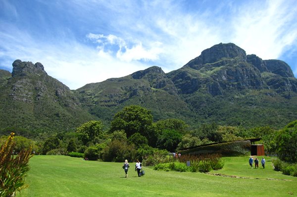 Visiting South Africa's Kirstenbosch
Garden Design
Calimesa, CA