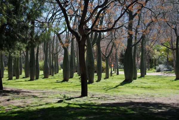 Visiting Valencia and Turia Gardens
Garden Design
Calimesa, CA