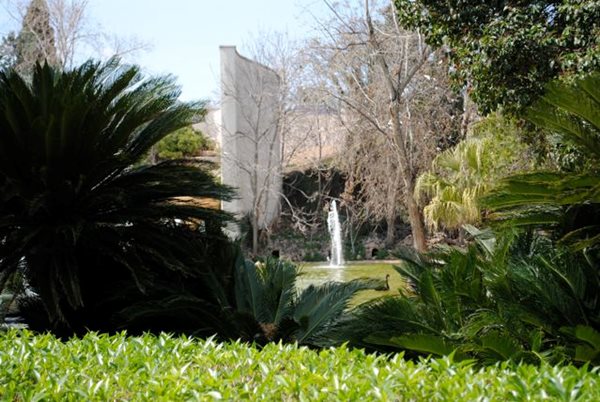 Visiting Valencia and Turia Gardens
Garden Design
Calimesa, CA