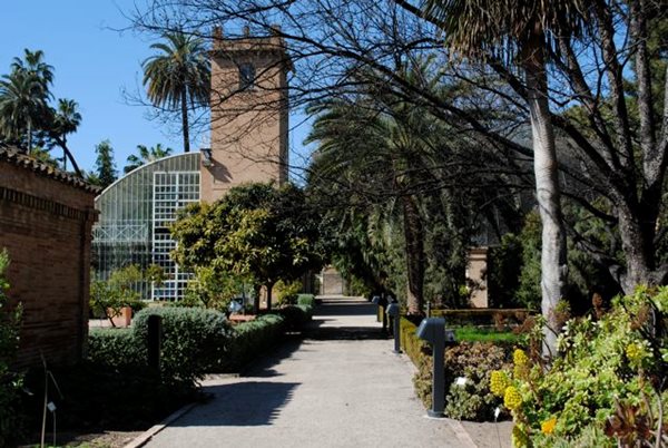 Visiting Valencia and Turia Gardens
Garden Design
Calimesa, CA