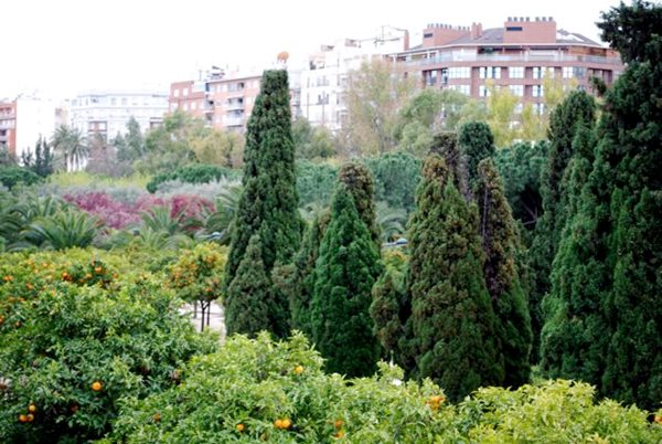 Visiting Valencia and Turia Gardens
Garden Design
Calimesa, CA