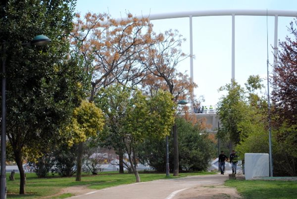 Visiting Valencia and Turia Gardens
Garden Design
Calimesa, CA