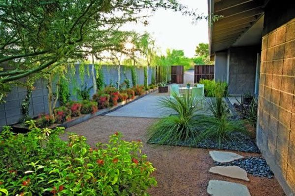 Water-Wise Plants and Design for Earth Day
Garden Design
Calimesa, CA