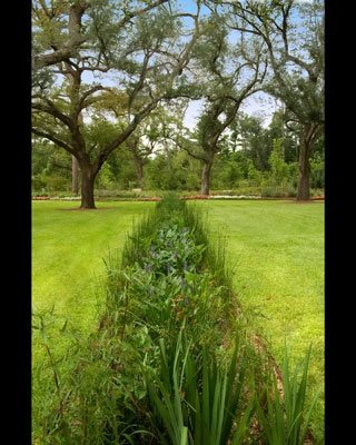 Water Wise
Garden Design
Calimesa, CA