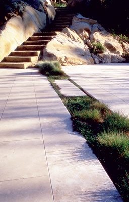 Water Wise
Garden Design
Calimesa, CA