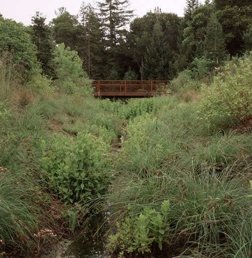 Water Wise
Garden Design
Calimesa, CA