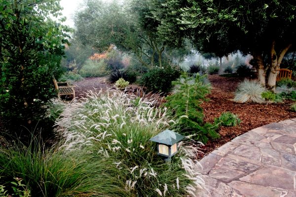 Winter in Petaluma, California
Garden Design
Calimesa, CA