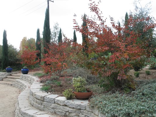 Arlington Garden
Pasadena, CA