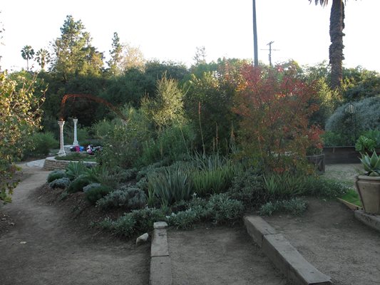 Pasadena Garden Transformed Garden Design