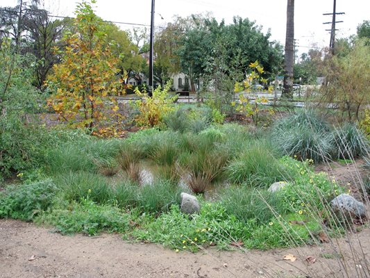 Arlington Garden
Pasadena, CA