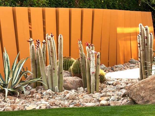 Cleistocactus Strausii (silver Torch), Echinocactus, Grusonii (golden Barrel Cactus)
"Dream Team's" Portland Garden
Garden Design
Calimesa, CA