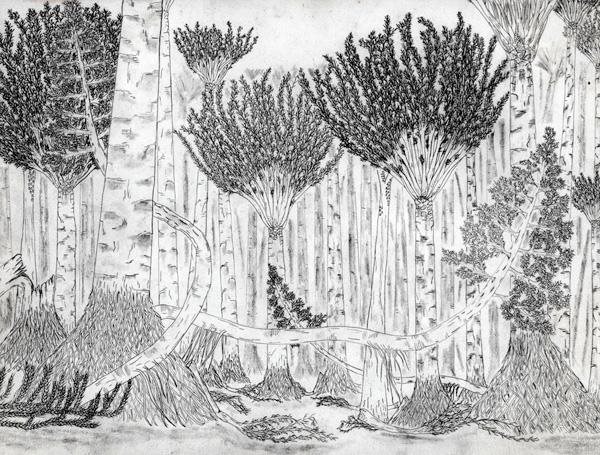 Forest Reconstruction
"Dream Team's" Portland Garden
Garden Design
Calimesa, CA