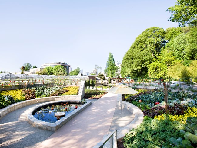 Edibles At The Atlanta Botanical Garden Garden Design