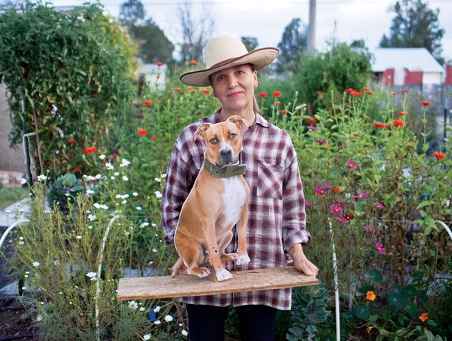 "Dream Team's" Portland Garden
Garden Design
Calimesa, CA