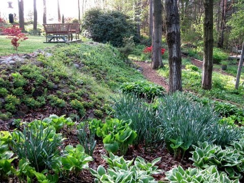 Michigan Wooded Garden Design, Natural Wooded Landscaping Ideas