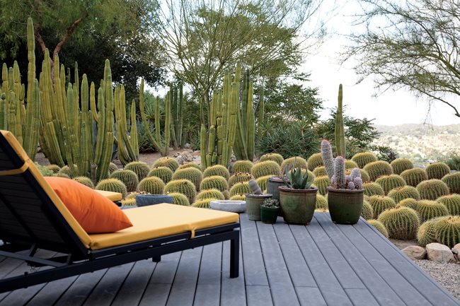 "Dream Team's" Portland Garden
Lari Pittman (Homeowner)
Los Angeles, CA
