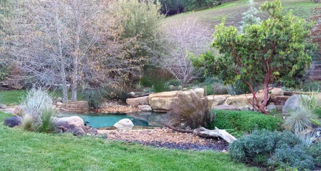 Natural-Style, Pool, Blends
"Dream Team's" Portland Garden
Garden Design
Calimesa, CA