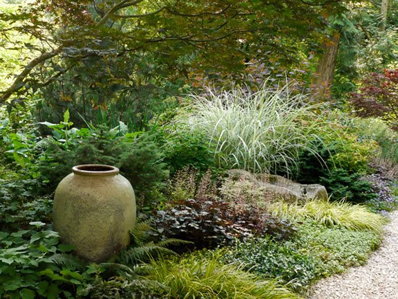 Nature Garden
"Dream Team's" Portland Garden
Hardy Plant Society of Oregon