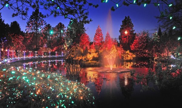 Sawtooth Botanical Garden Christmas Lights 2022 Holiday Lights | Garden Design