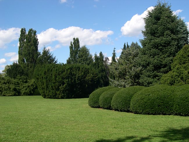 Secret Gardens When In Louisville, Landscaping Louisville Ky