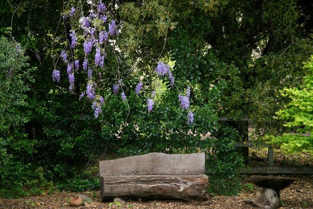 Garden Photos from Napa
Garden Design
Calimesa, CA
