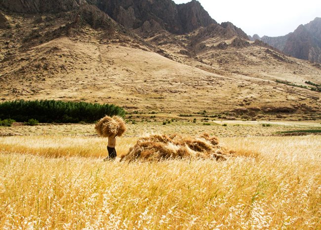 Kurdistan: Recovering a Garden of Paradise, Photo Gallery
Garden Design
Calimesa, CA