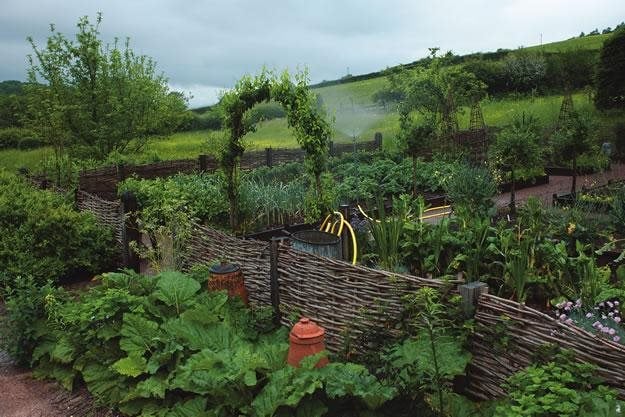 ideas for starting a kitchen garden | garden design