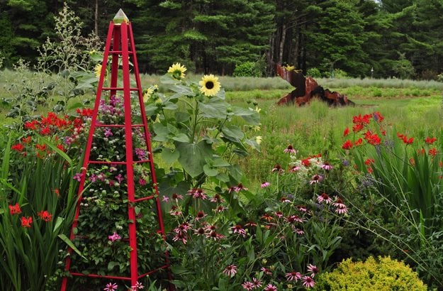02_red_tuteur_crocosmia_echinacea_sunflower_pampenick_bedrockgardens
Bedrock Gardens
Lee, NH