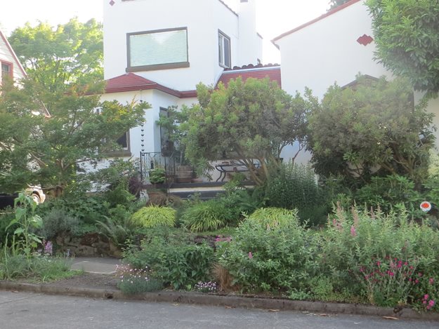02_spanish_revival_home_surrounded_by_chickadee_garden
Garden Design
Calimesa, CA