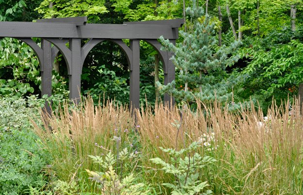 07_fine_plumes_of_feather_reed_grass
McCullough's Landscape & Nursery LLC
Johnstown, OH