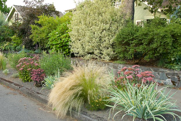 1
Garden Design
Calimesa, CA