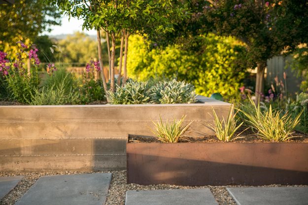 3
Envision Landscape Studio
Walnut Creek, CA