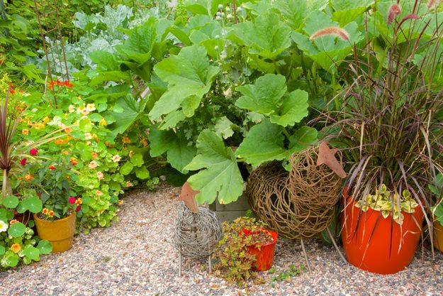 Garden Design Trends 2015 2015 garden trends | garden design Garden Design Trends 2015 2015 garden trends | garden design